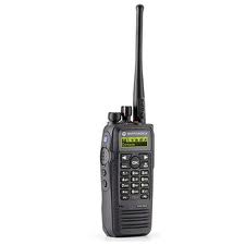 DP3601